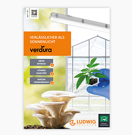 Flyer Verdura PDF